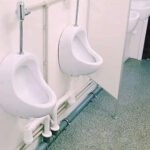 Modulo Sanitario Prefabbricato 20 Piedi per Grandi Affluenze