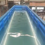 Piscina Container 11 Metri "All Season" - Vetrata e Riscaldata con Area Relax